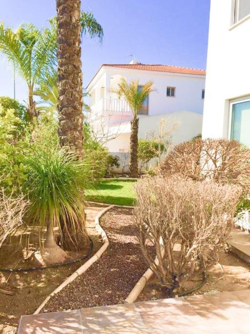 Villa Artemis Larnaca Exteriér fotografie